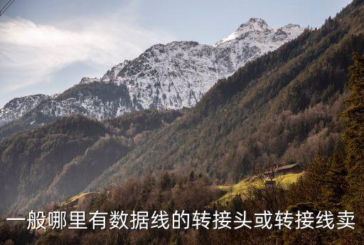 一般哪里有數據線的轉接頭或轉接線賣