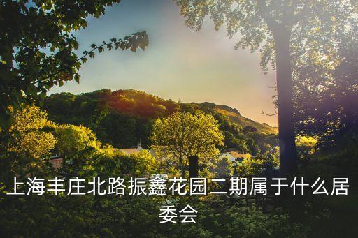 上海市嘉定區永翔社區，上海豐莊北路振鑫花園二期屬于什么居委會