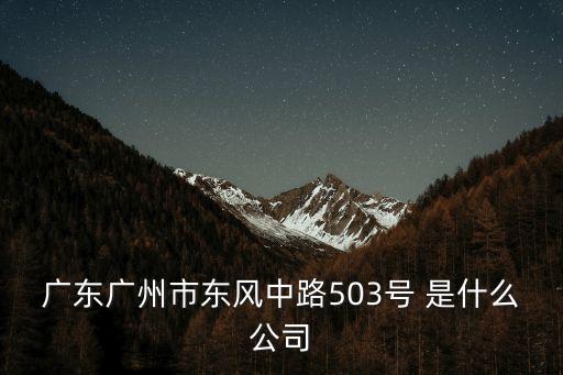 廣東廣州市東風(fēng)中路503號 是什么公司