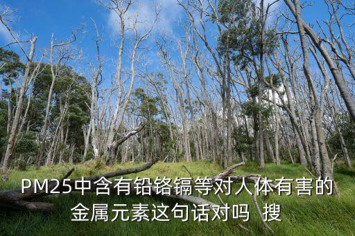 PM25中含有鉛鉻鎘等對人體有害的金屬元素這句話對嗎  搜