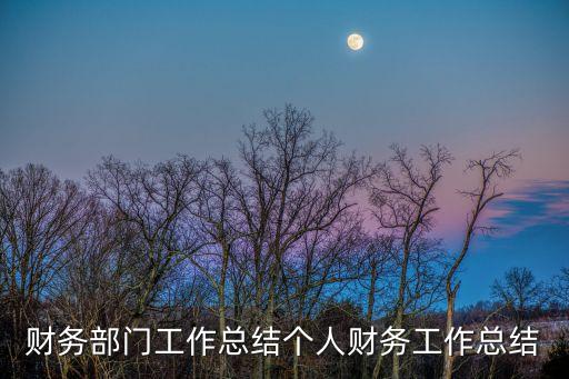 財務工作總結及工作計劃，財務工作總結