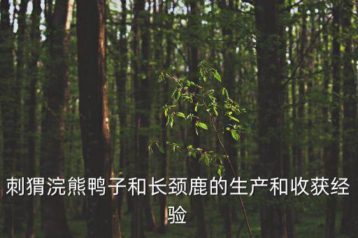 刺猬浣熊鴨子和長頸鹿的生產和收獲經驗