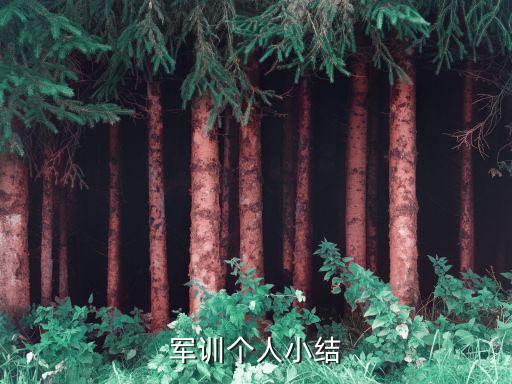 大學(xué)軍訓(xùn)個(gè)人小結(jié)，軍訓(xùn)個(gè)人小結(jié)