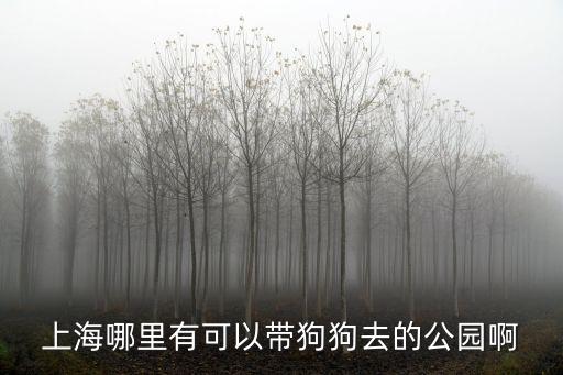 上海市 遛狗 公園，上海哪些公園可以溜狗
