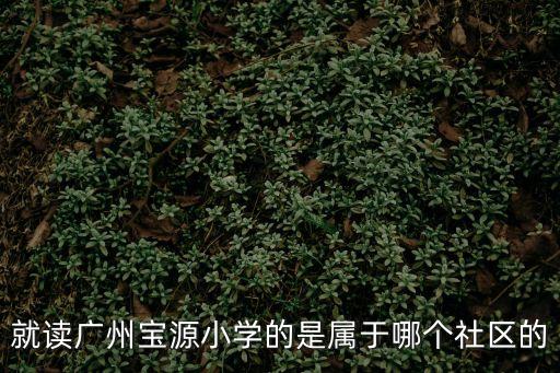 就讀廣州寶源小學的是屬于哪個社區的