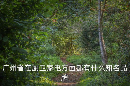 廣州省在廚衛家電方面都有什么知名品牌