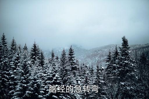 腦經(jīng)急轉(zhuǎn)彎，腦經(jīng)急轉(zhuǎn)彎