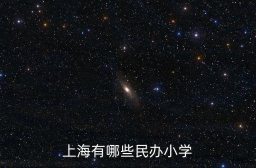 上海市回民小學 民辦，上海回民小學如何