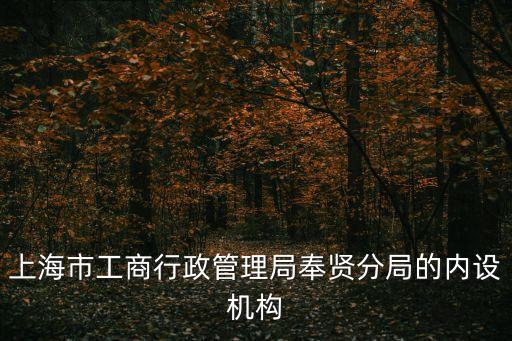 上海市工商行政管理局奉賢分局的內(nèi)設(shè)機(jī)構(gòu)