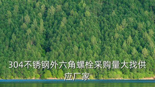 304不銹鋼外六角螺栓采購量大找供應廠家