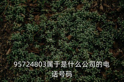 95724803屬于是什么公司的電話號碼