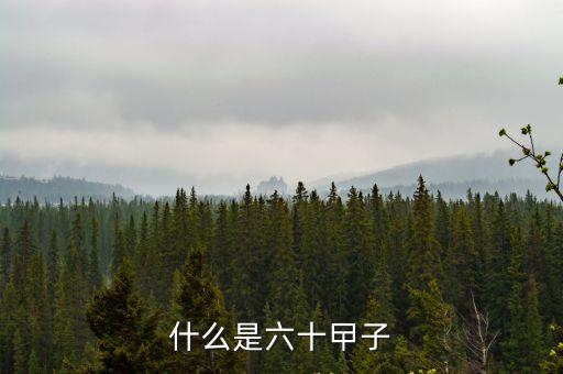 什么是六十曱子