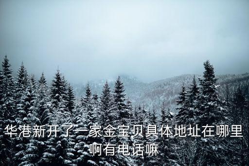華港新開了一家金寶貝具體地址在哪里啊有電話嘛