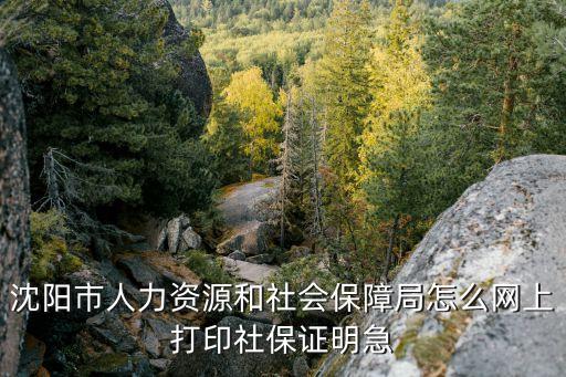 個人參保證明網上打印，2020年能社保繳費憑證能異地網上打印嗎