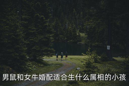 男鼠女牛，屬鼠的男生和屬牛的女生配嗎求解釋