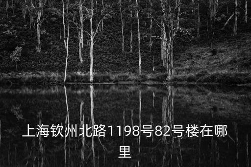 上海欽州北路1198號82號樓在哪里