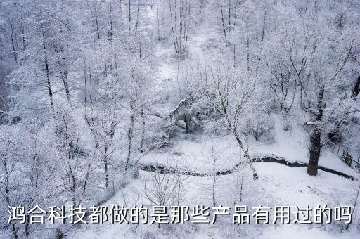 鴻合科技都做的是那些產品有用過的嗎