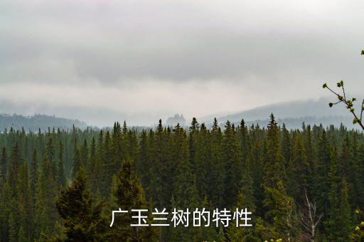 廣玉蘭樹的特性