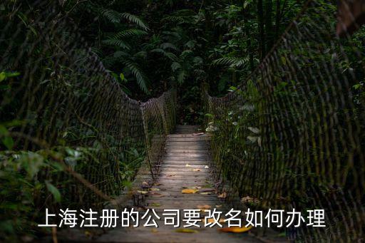 上海市企業更名怎么辦理，上海注冊的公司要改名如何辦理