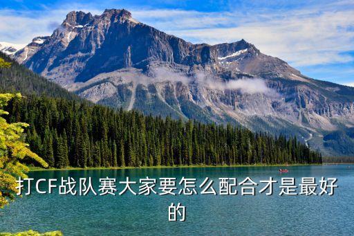 賽大家，羅納爾多告別賽大家有誰知道呀