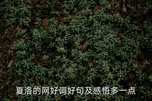 夏洛的網(wǎng)好詞好句及感悟多一點(diǎn)