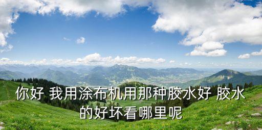 你好 我用涂布機用那種膠水好 膠水的好壞看哪里呢