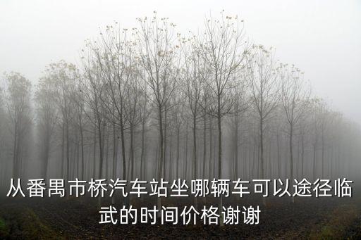 從番禺市橋汽車站坐哪輛車可以途徑臨武的時間價格謝謝