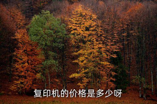 復印機的價格是多少呀