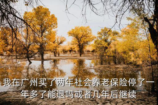 我在廣州買了兩年社會養老保險停了一年多了能退嗎或者幾年后繼續