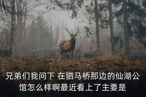 廣州佛山仙湖公寓，兄弟們我問下 在駟馬橋那邊的仙湖公館怎么樣啊最近看上了主要是