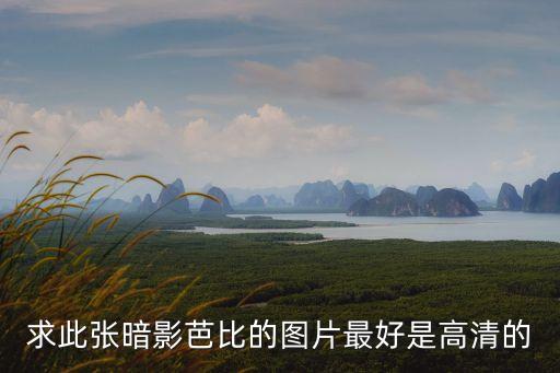 求此張暗影芭比的圖片最好是高清的