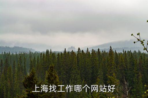 上海找工作哪個(gè)網(wǎng)站好