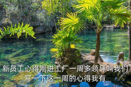 新員工心得體會(huì)，新員工心得剛進(jìn)工廠一周多領(lǐng)導(dǎo)叫我們寫(xiě)一下這一周的心得我有