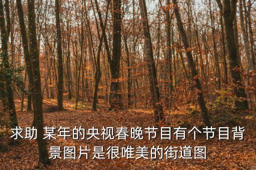 求助 某年的央視春晚節目有個節目背景圖片是很唯美的街道圖