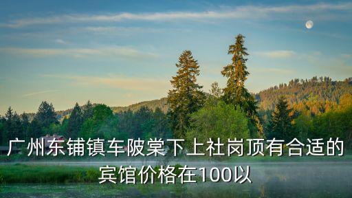 廣州東鋪鎮(zhèn)車陂棠下上社崗頂有合適的賓館價(jià)格在100以