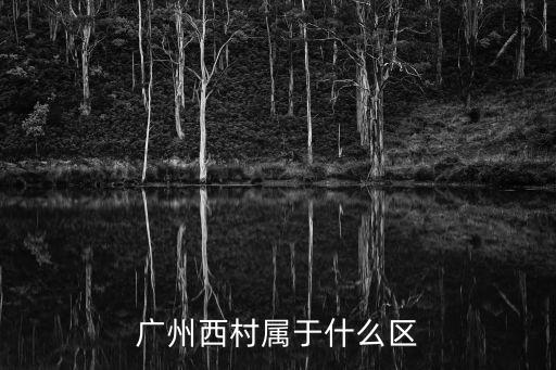 廣州荔灣西村原創元素屬于什么區，廣州西村屬于什么區