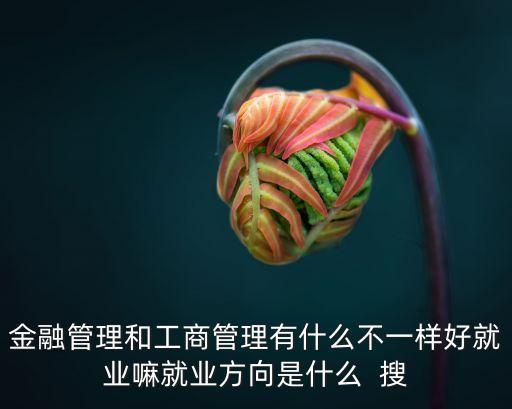 金融管理和工商管理有什么不一樣好就業嘛就業方向是什么  搜