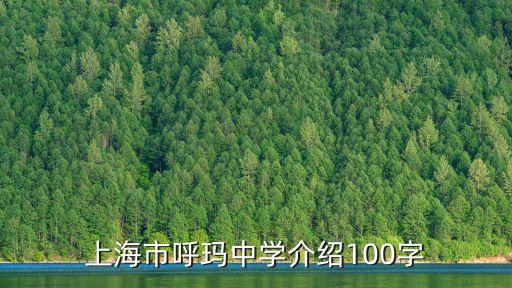 上海市呼瑪中學鄔意靈，2010上海市高考狀元是誰