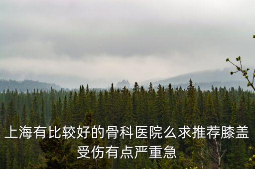 上海市第一醫(yī)藥高店漆關(guān)節(jié)固定，雪山金羅漢止痛涂膜劑上海藥店哪里售
