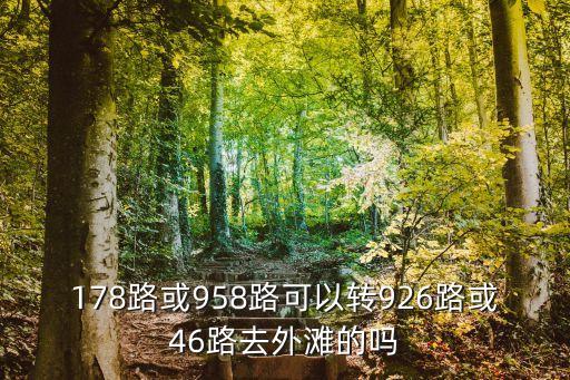 上海市958路換車型，178路或958路可以轉926路或46路去外灘的嗎