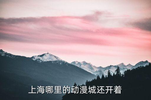 上海哪里的動漫城還開著