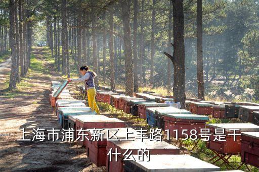 上海市三林印象城，上海市浦東新區(qū)上豐路1158號(hào)是干什么的