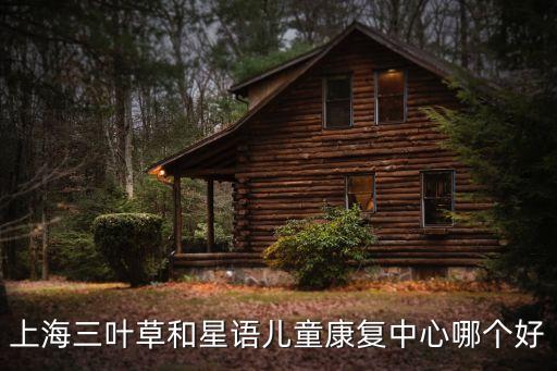 上海三葉草和星語兒童康復中心哪個好