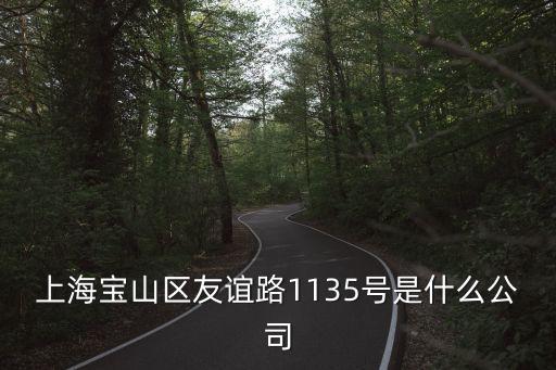 上海寶山區友誼路1135號是什么公司