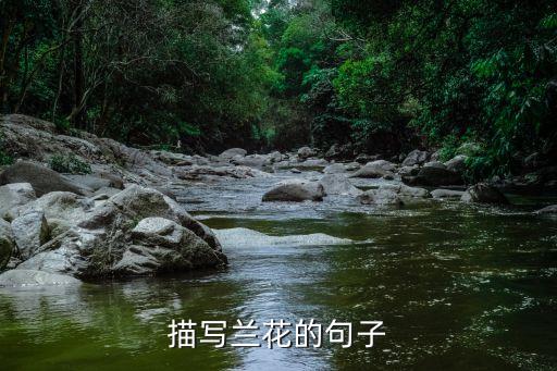 描寫蘭花的句子，描寫蘭花 短句