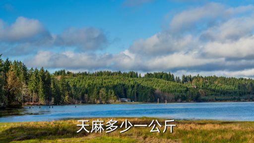 天麻多少錢一斤，天麻多少錢一斤