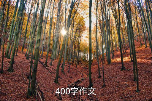 400字作文