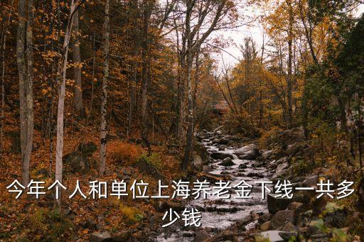 上海市居家養老2019年，上海市城鎮居民養老金今年最底是每月多少錢