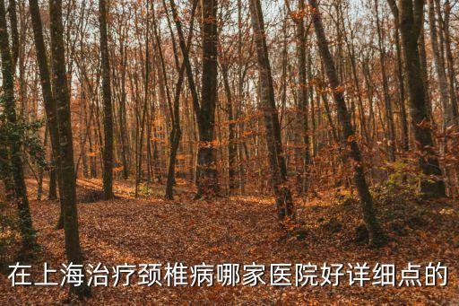 上海市專治頸椎醫(yī)院，上海哪家治療頸椎病的醫(yī)院最好