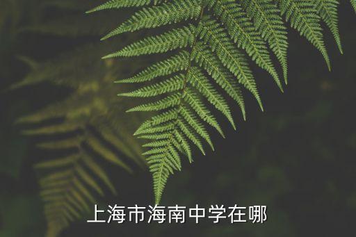 上海市海南中學(xué)怎樣，上海市海南中學(xué)在哪